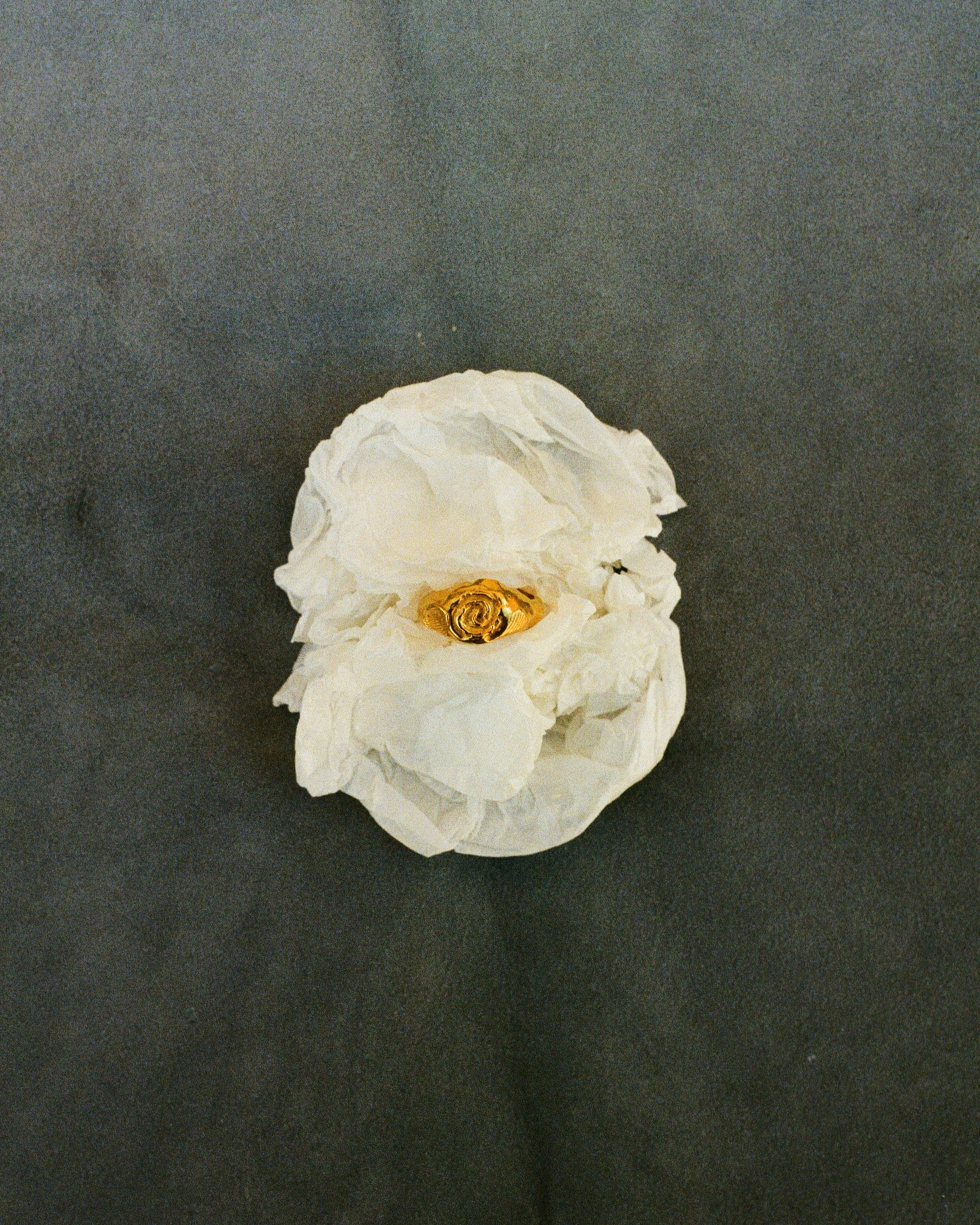 Anillo Alba