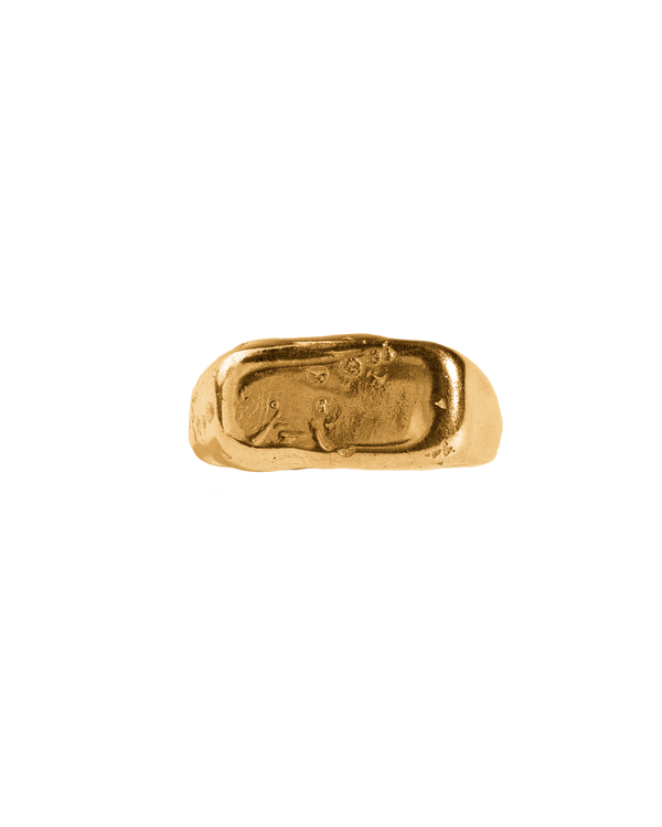 Anillo melted signet II