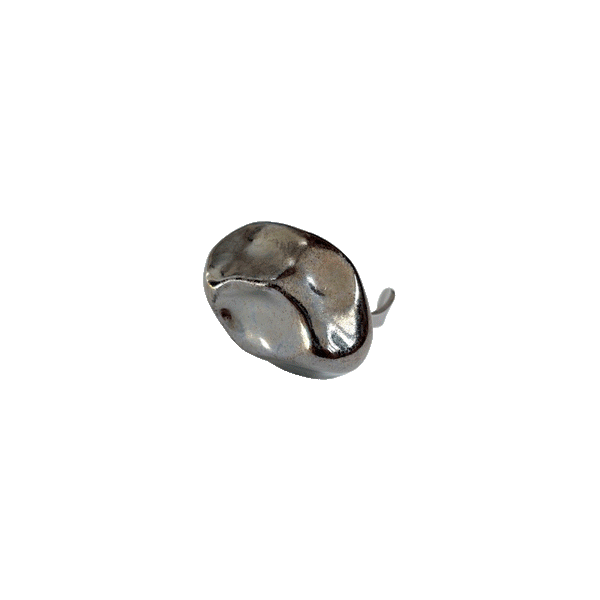 Carranc 'earrings'